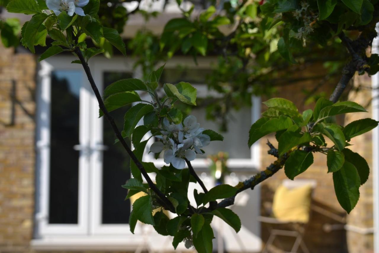 Epicsa - Family & Corporate Stay Mews Apartments With Free Parking CBG Esterno foto
